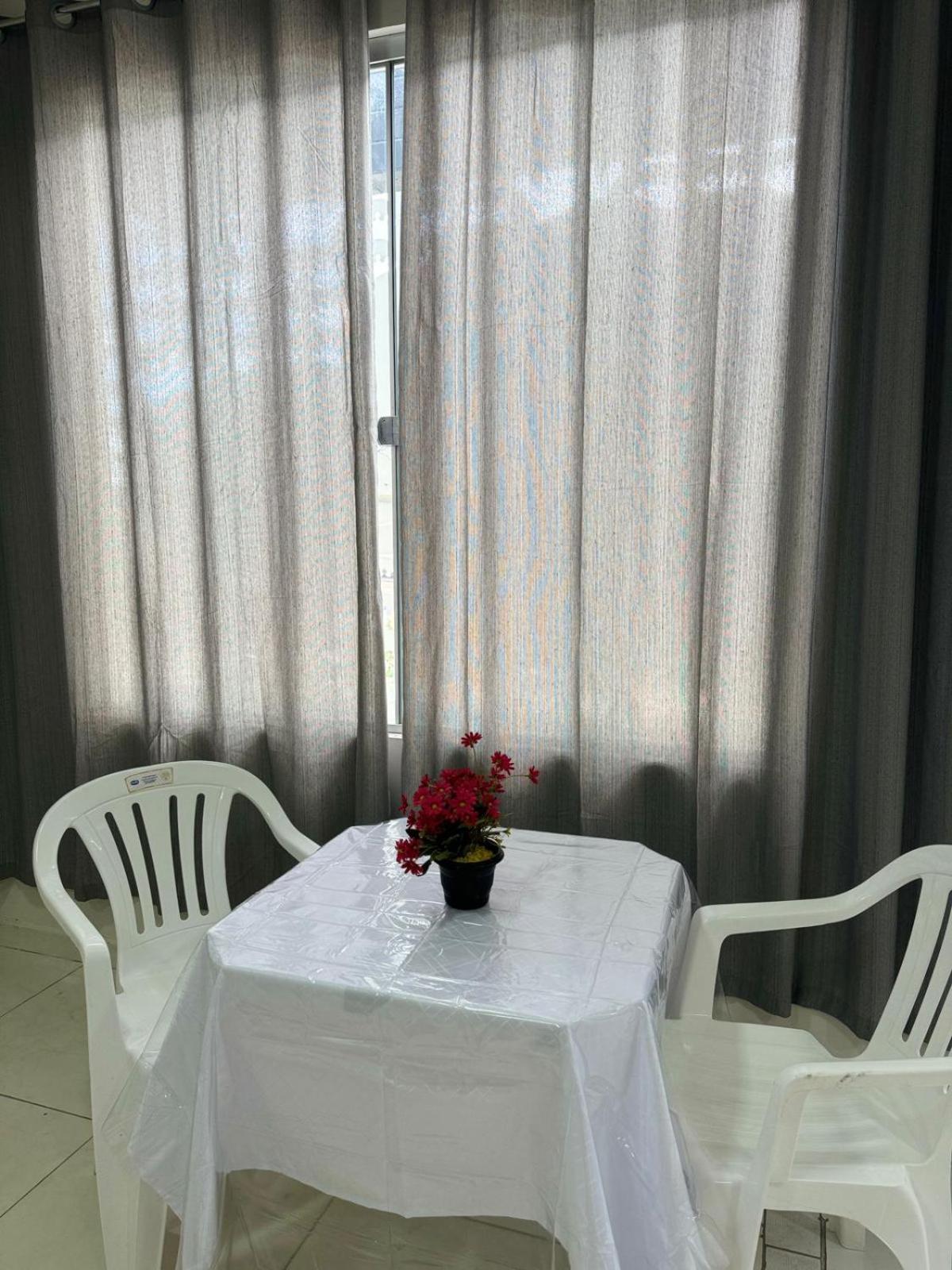 Ventos E Flores
